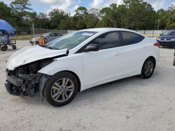  Salvage Hyundai ELANTRA