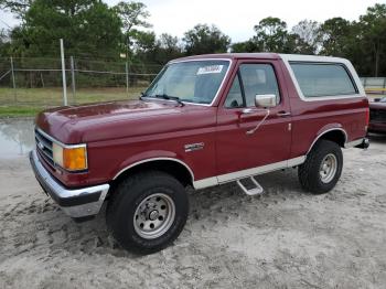  Salvage Ford Bronco