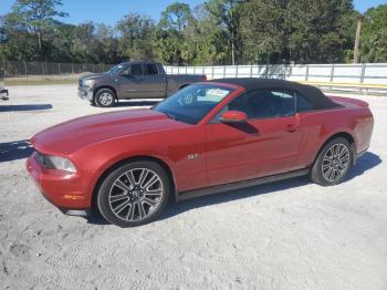  Salvage Ford Mustang