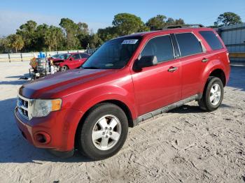  Salvage Ford Escape