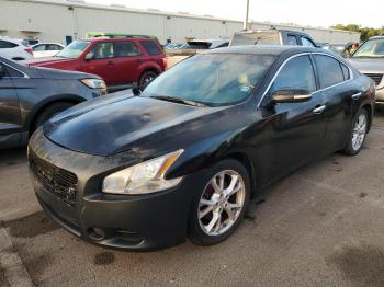  Salvage Nissan Maxima