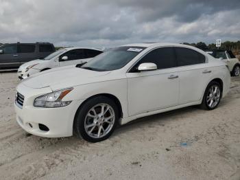  Salvage Nissan Maxima