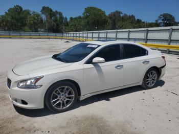  Salvage Nissan Maxima