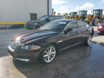  Salvage Jaguar XF