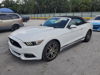  Salvage Ford Mustang