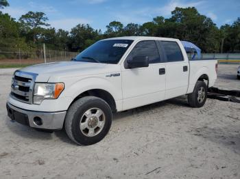  Salvage Ford F-150