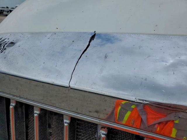 International Prostar Image 6