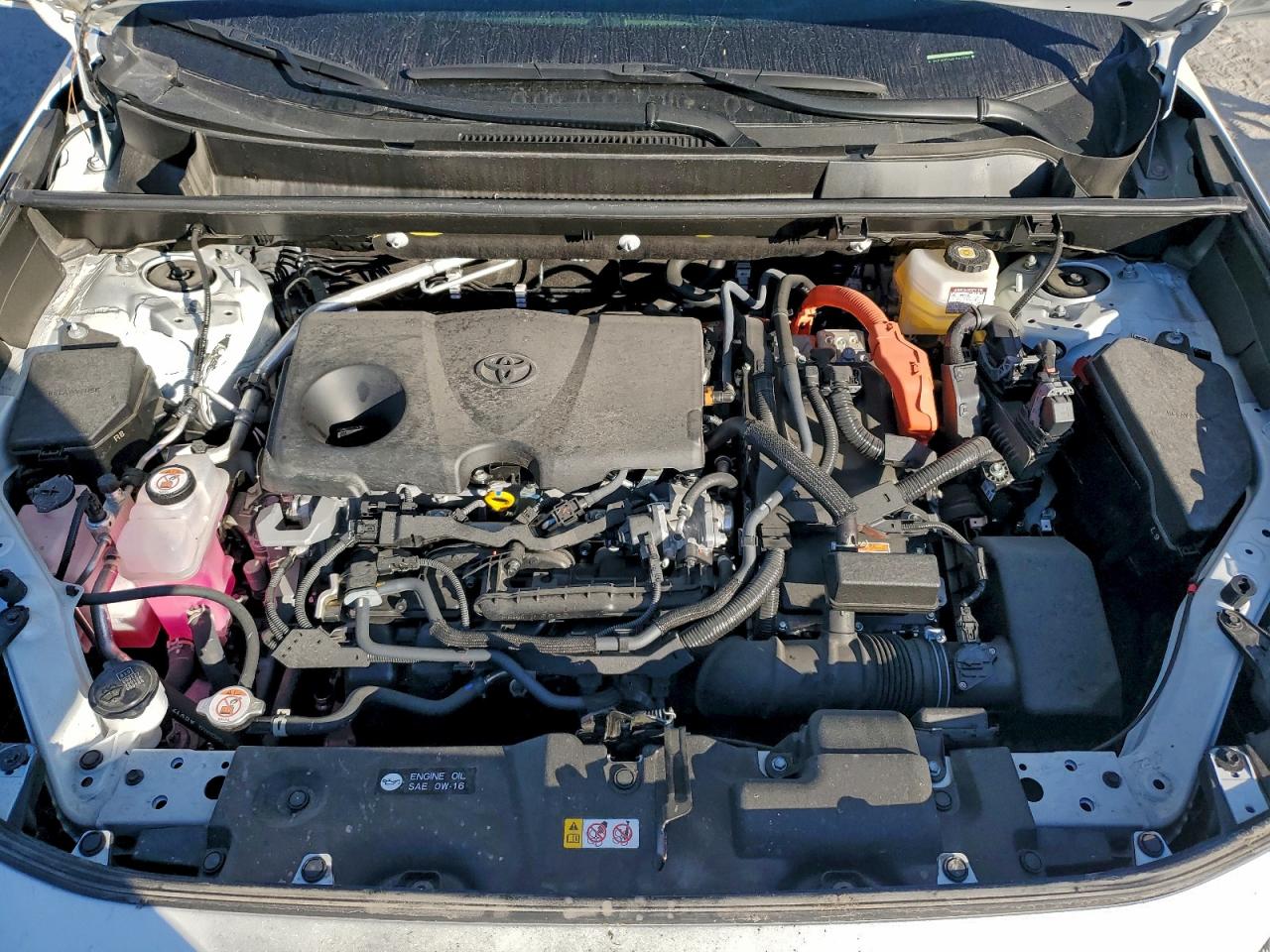 Toyota RAV4 Xse Image 10