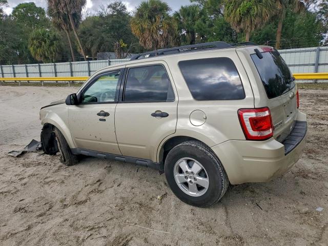 Ford Escape Xlt Image 3